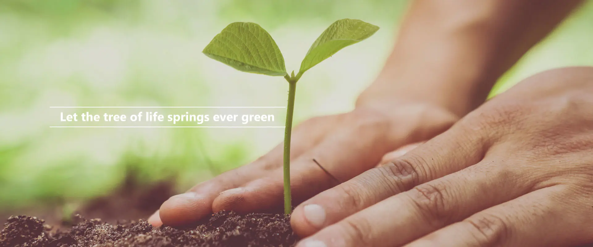 Хай весна життя вічно зеленіє